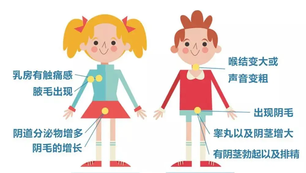 绘云生物:性早熟如何透支儿童的健康成长?