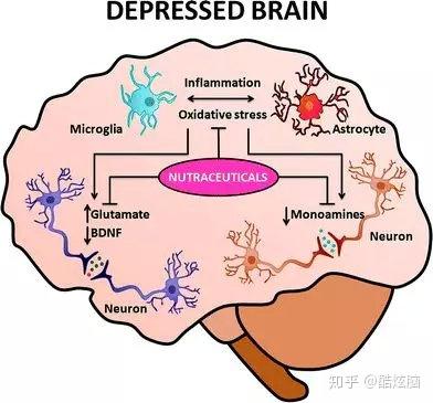 你的抑鬱可能只是身體發炎了,炎症會影響你的情緒,思維和認知方式