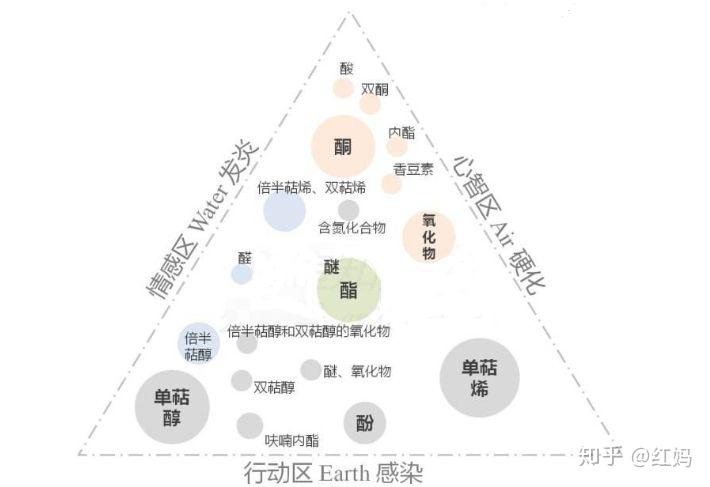 马勒毕忧的法系三角图法兰贡的四象限图摘自《芳疗实证全书》
