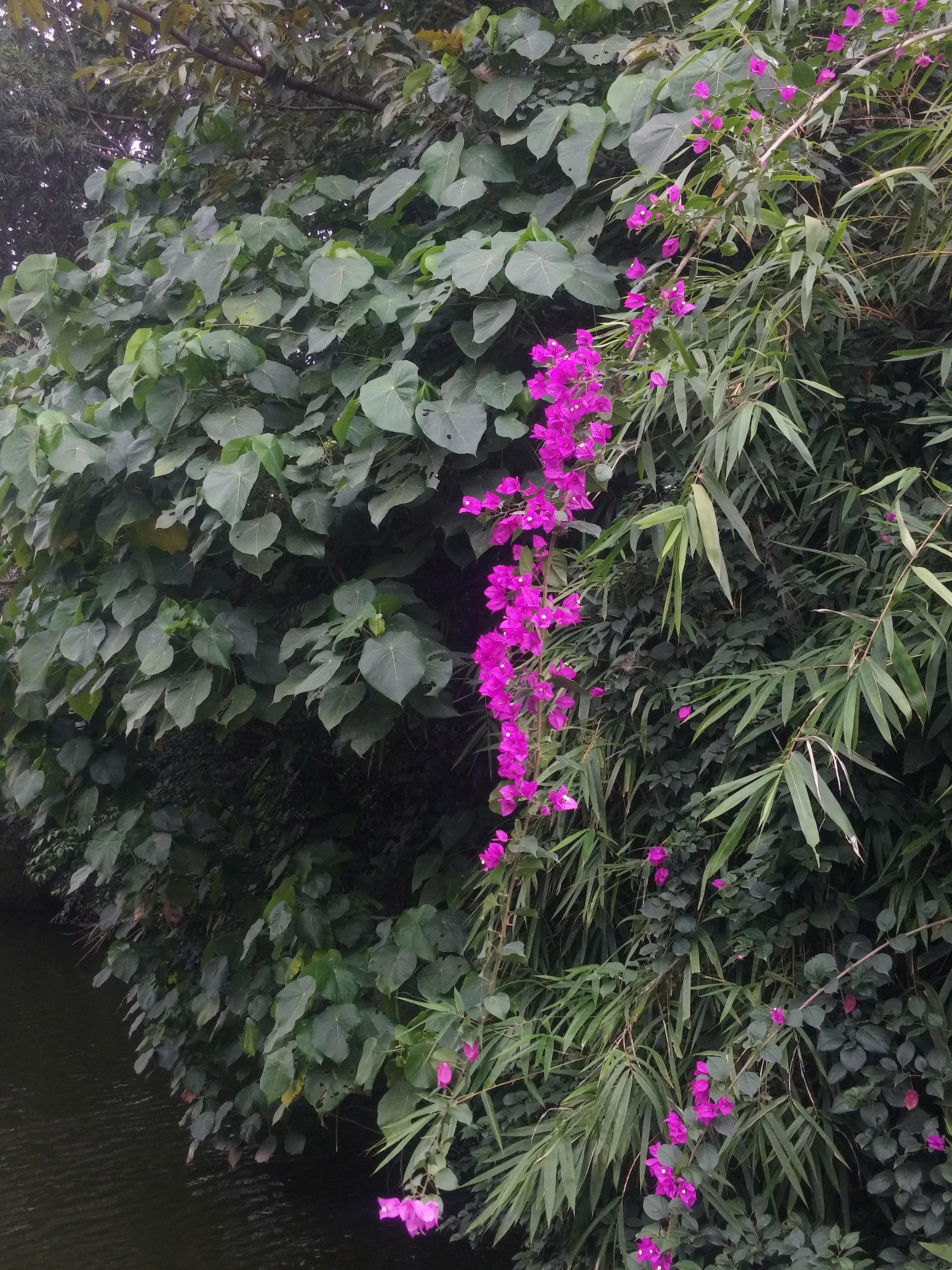 华为徕卡双镜头拍出来的 德味 体现在哪里?