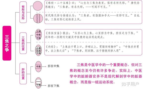 中医里的三焦是什么?具体有哪些作用? - 知乎