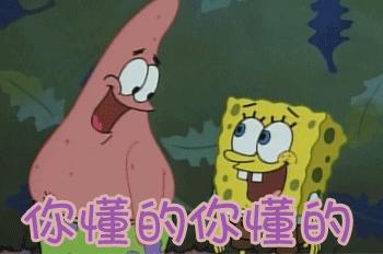 动图封面