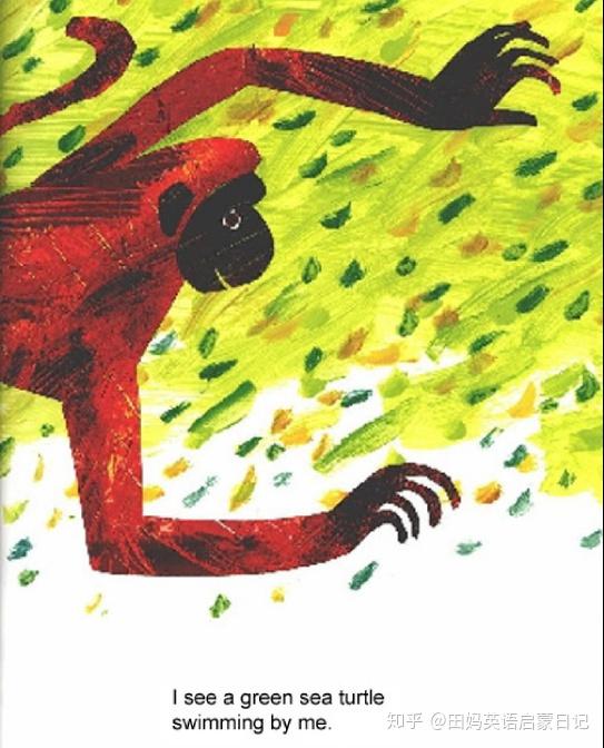 绘本精讲pandabearpandabearwhatdoyousee