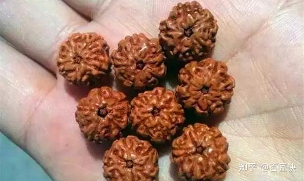 金刚到底有几个种类呢?看完你就全明白了 - 知乎
