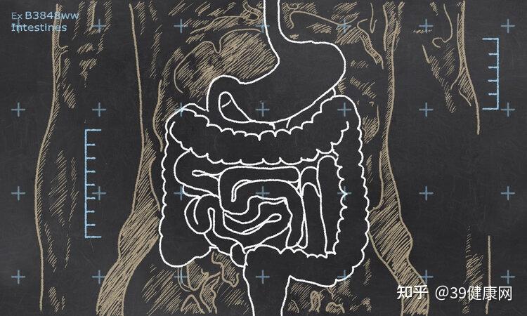 总觉得大便拉不干净擦不干净是怎么回事