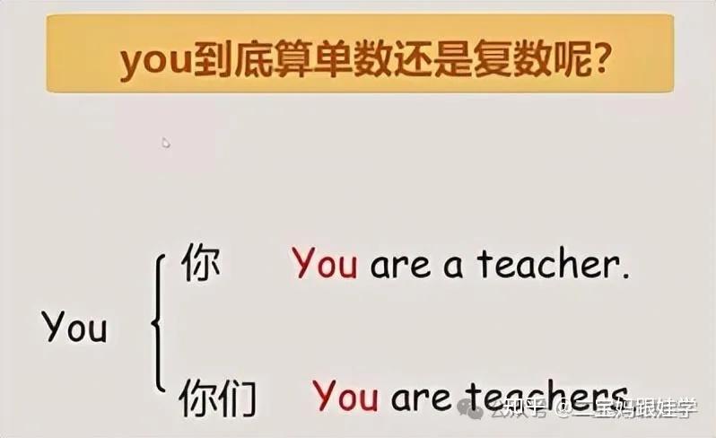 【跟娃学英语】小学英语语法——人称代词的主格和宾格 如何记忆人称代词的主格和宾格形式 - 知乎