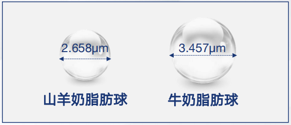 山羊奶中脂肪球的大小为2微米左右,而牛奶为2.5~3.5微米.