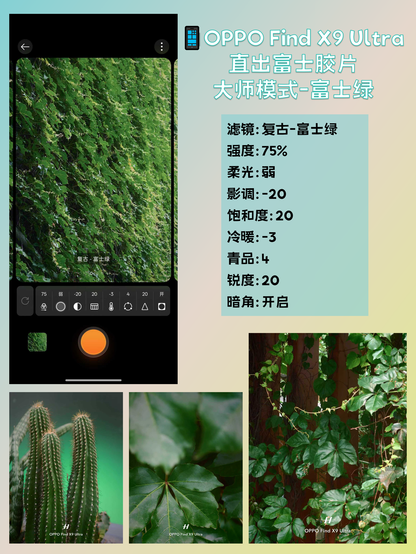 五一假期拍爽了!OPPO也能拍出富士绿