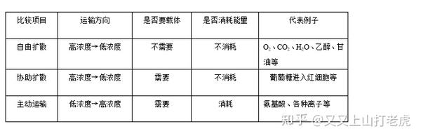 高中生物必修一复习提纲 期末必记 知乎