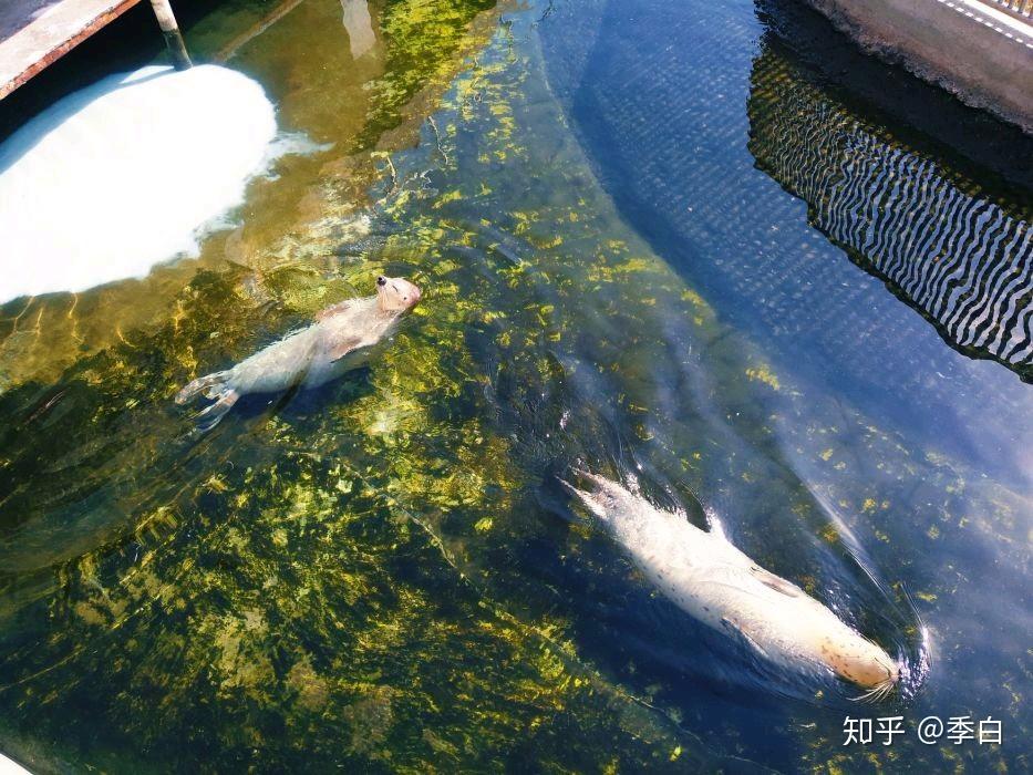 太原動物園一日遊攻略