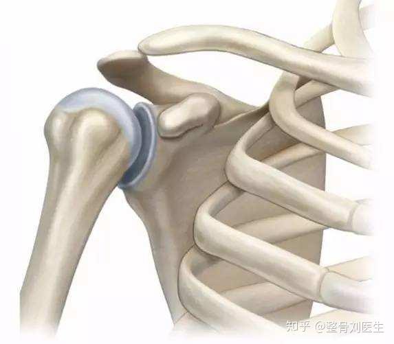 肩膀前错位 影响呼吸 知乎