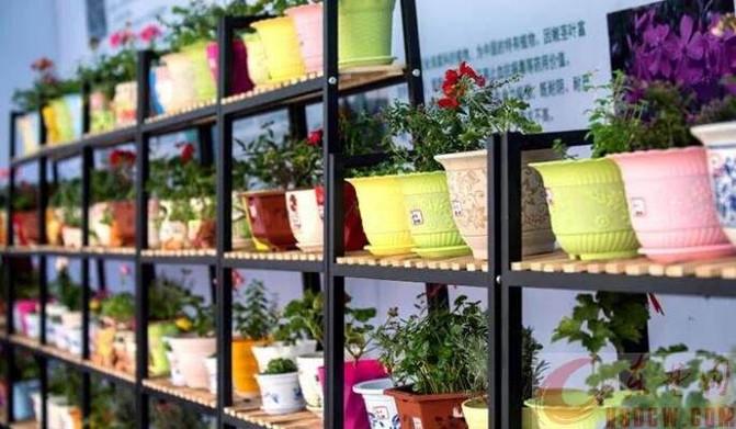 湖北自由行规划_湖北警官学院招生_湖北旅游景点推荐