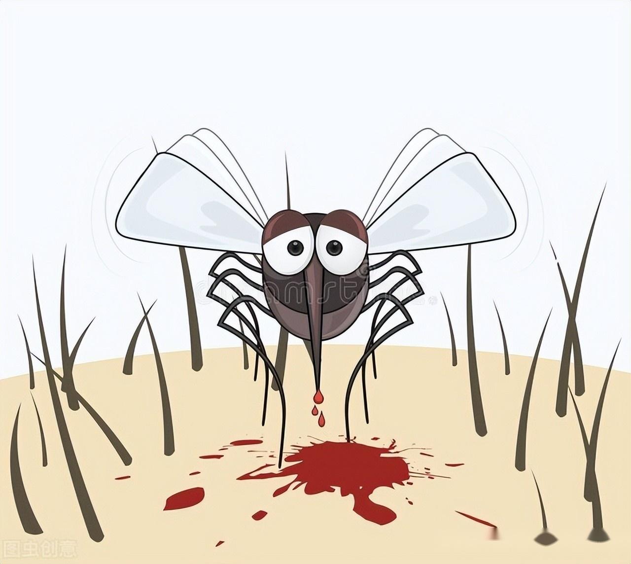 蚊子在皮肤上吸血吸血的蚊子蚊子肚子里的血_1920X1080_高清视频素材下载(编号:8145761)_实拍视频_光厂(VJ师网) www ...