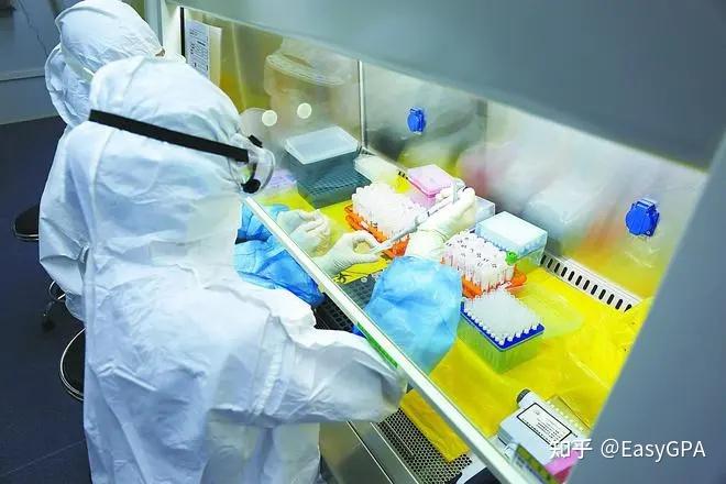 最新超全版|可出具英文版核酸检测的机构名单 - 知乎