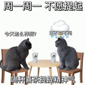 累死猫咪周一周一,不如安息欢迎加入我的表情包群聊,海量表情包/分享