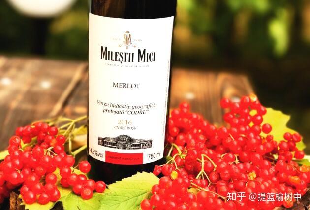 一般多久会醒酒 v2-e2df1d1e6751f4363f96bda8045c4ca6_r.jpg