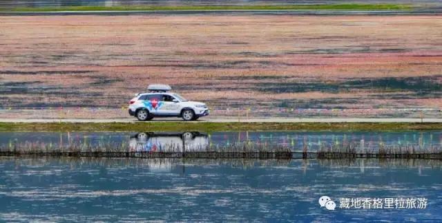 香格里拉10大必游景点“老司机”都去过,你走过几个?-香格里拉必看景点