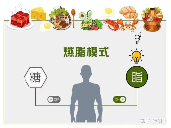 “酮”是生酮饮食的标志，究竟什么是酮体？影响酮体的因素有哪些？ - 知乎