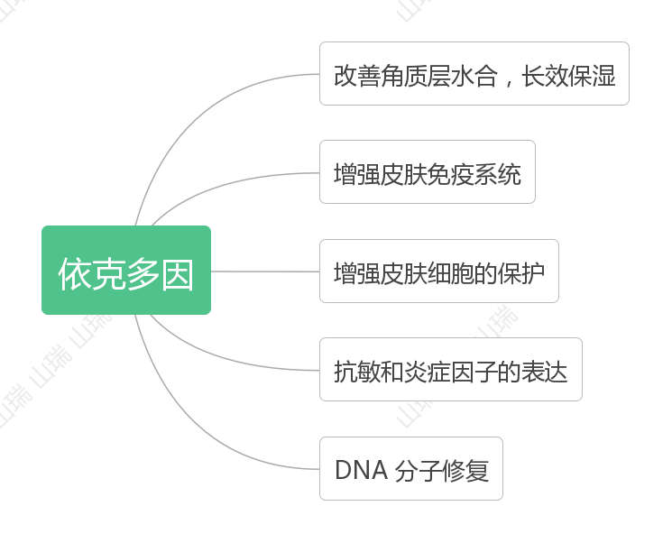 沙漠瑰宝依克多因四氢甲基嘧啶羧酸