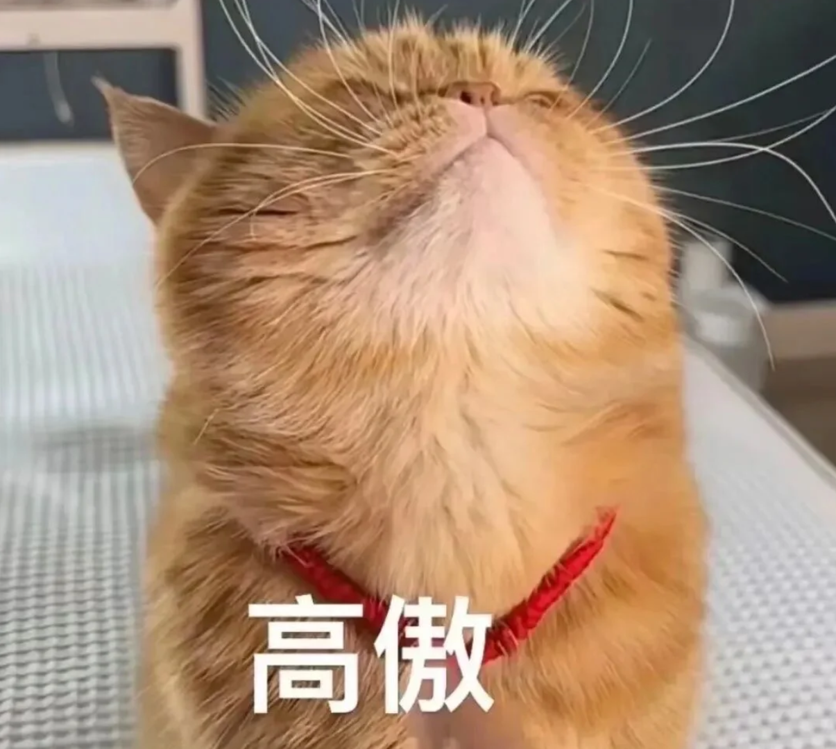 618吸尘器避坑指南:一个踩过8次坑的家电博主,交出3份“零差评”实战清单(追觅吸尘器深度横评)