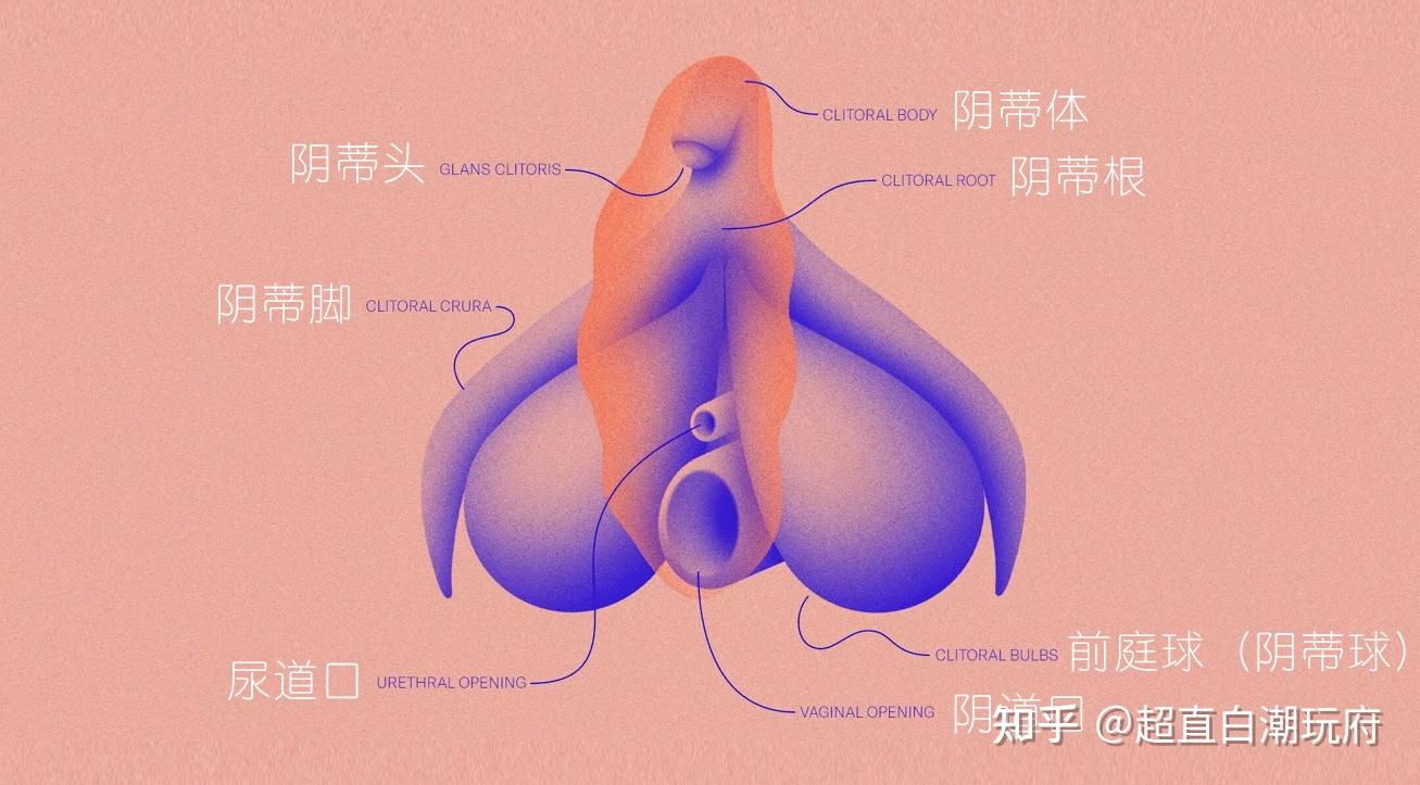 zhuanlan.zhihu.com