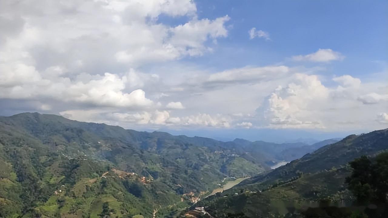 为何冰岛老寨的茶是甜的?