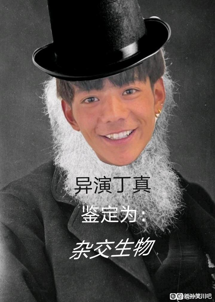 为什么贴吧到处都是丁真人