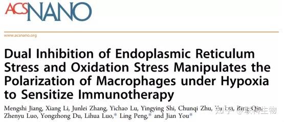 the polarization of macrophages under hypoxia to sensitize