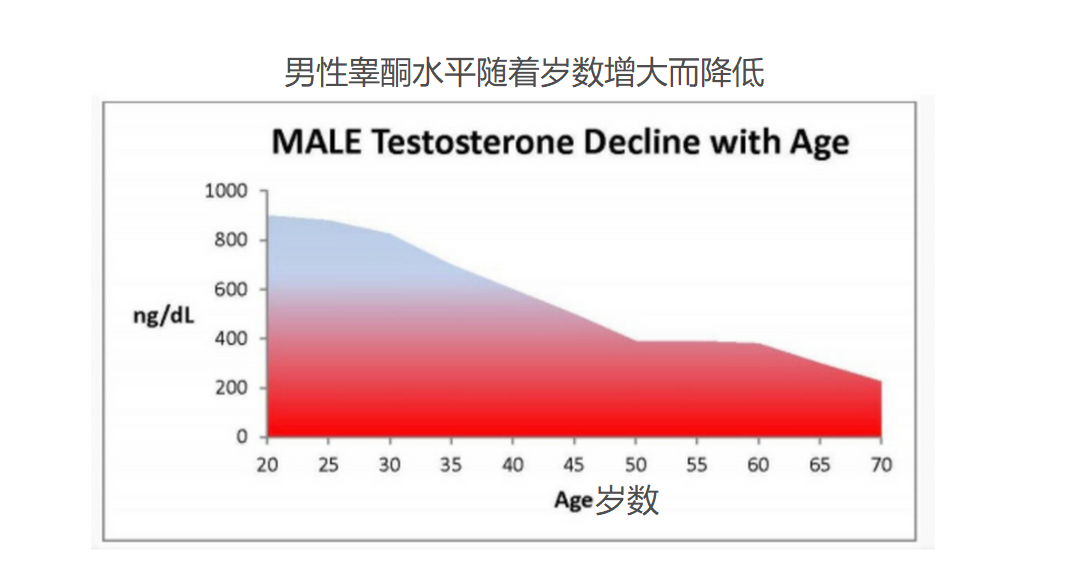 睾酮与岁数