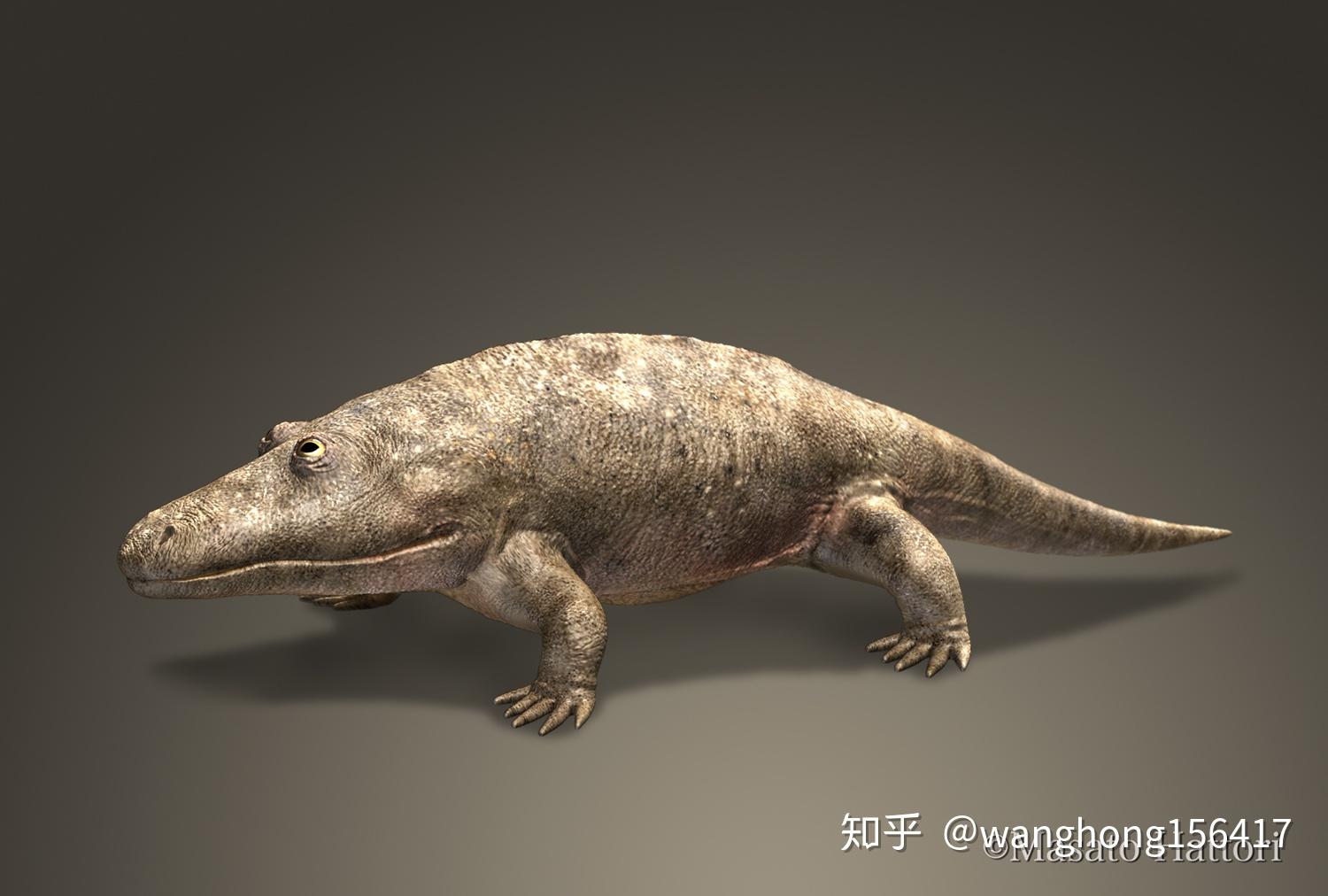 沧龙带动画 沙尼龙 鱼龙 鳄鱼进化 恐龙 游动的鱼龙 蛇颈龙 石炭纪 远古生物-cg模型免费下载-CG99