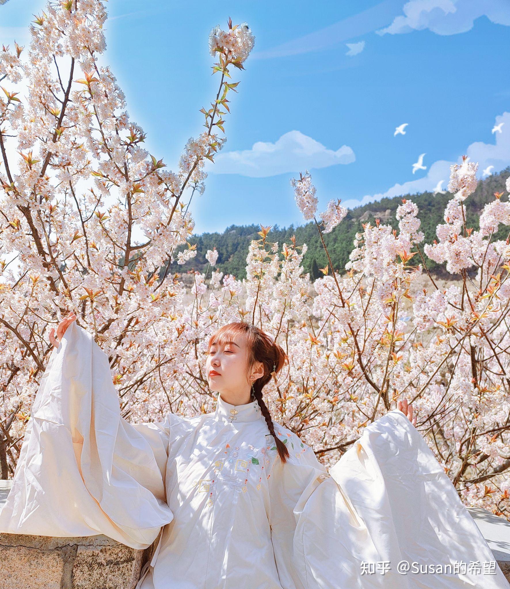 清明节踏青,汉服樱花绝配 - 知乎