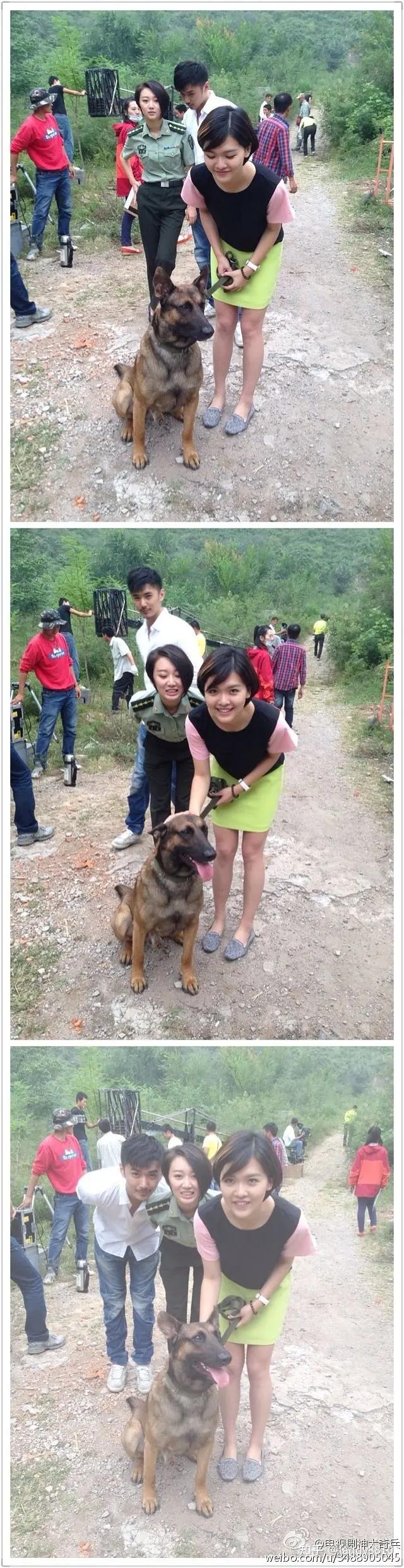 奇兵神犬冠军现状图片