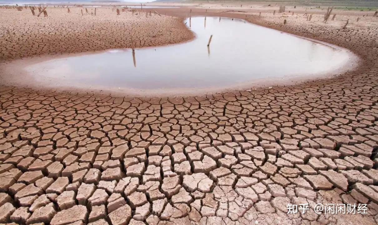 河水干枯图片