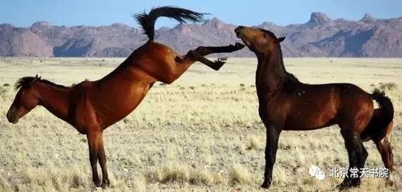 【举例】说你两句,还跟老子尥蹶子啊!