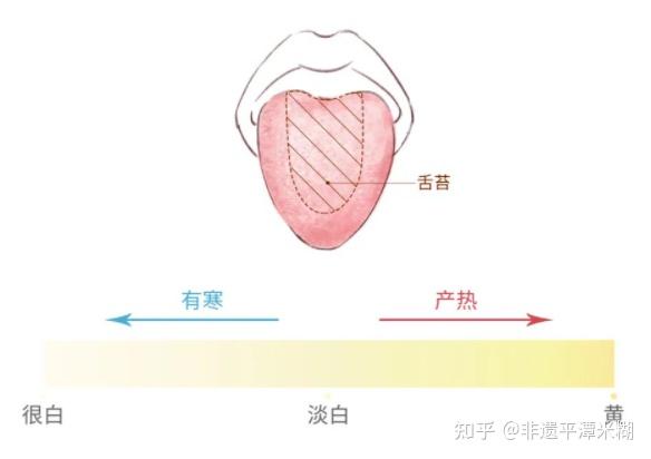 一看就懂|简单实用的舌诊图谱大全，教你快速识别疾病！ - 知乎