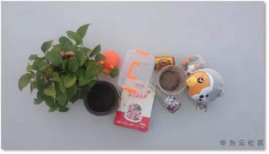 海华大赛第一名团队聊比赛经验和心得:AI在垃圾分类中的应用 海华大赛第一名团队聊比赛经验和心得:AI在垃圾分类中的应用