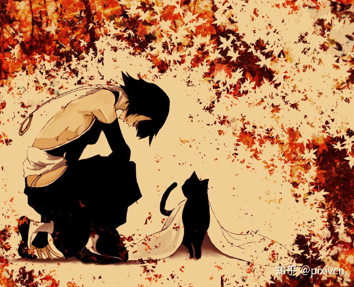 死神bleach插画精选