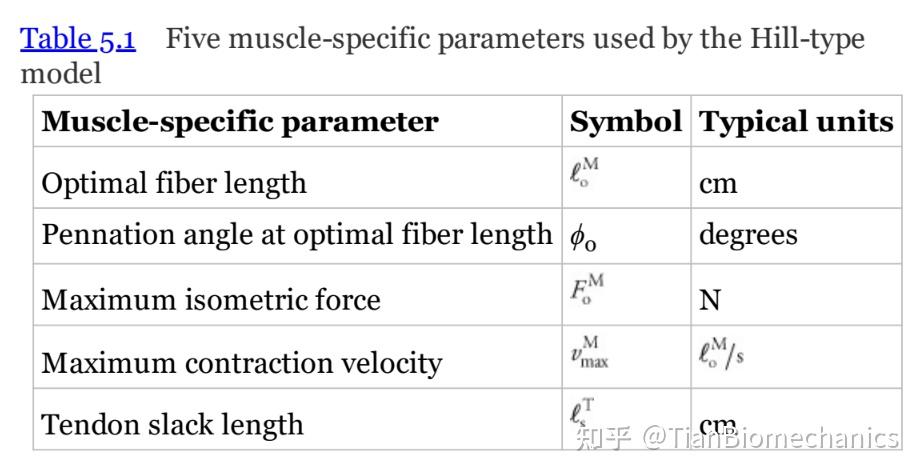 生物力学书籍-《Biomechanics of Movement》-Muscle Architecture and Dynamics - 知乎