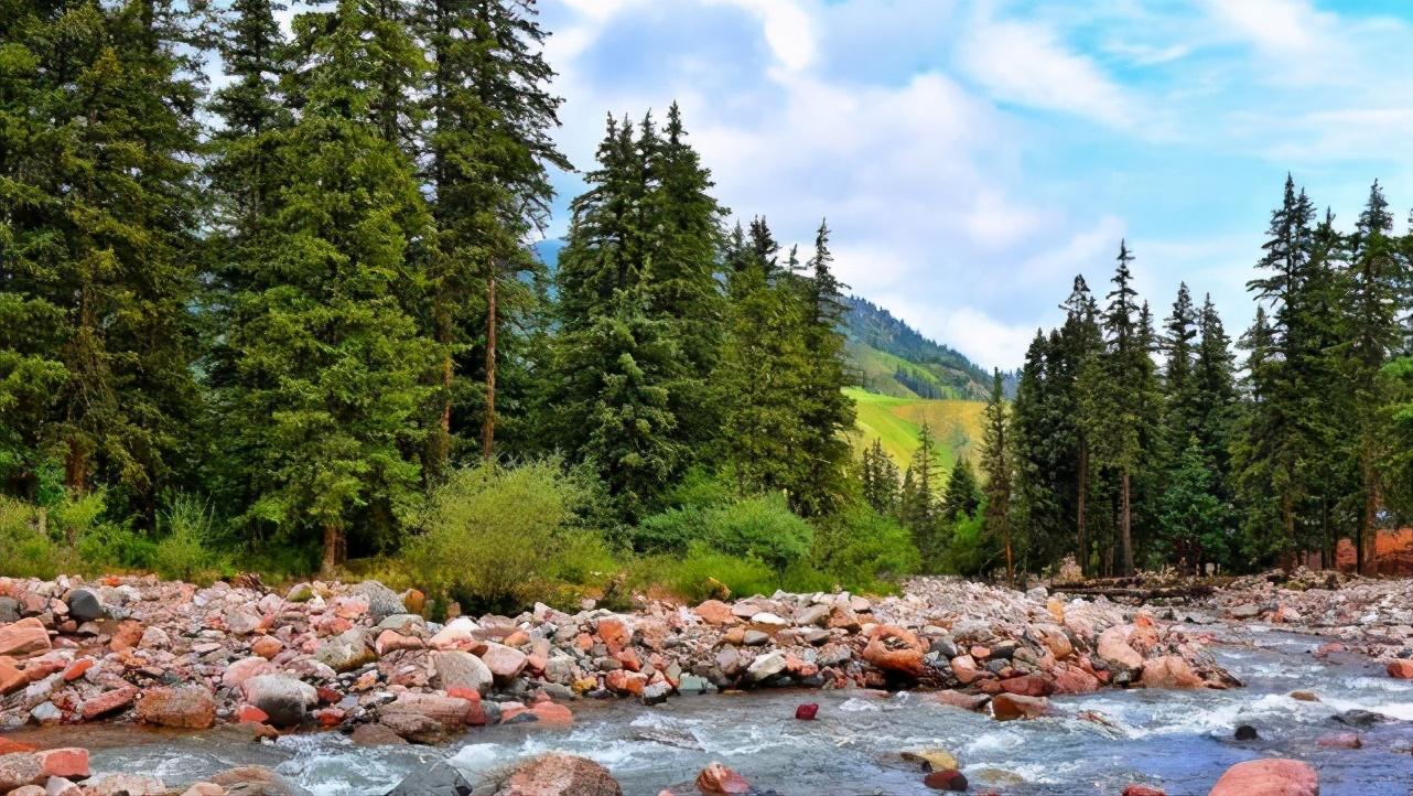去趟瑞士得七万你可以来祁连冰沟林海