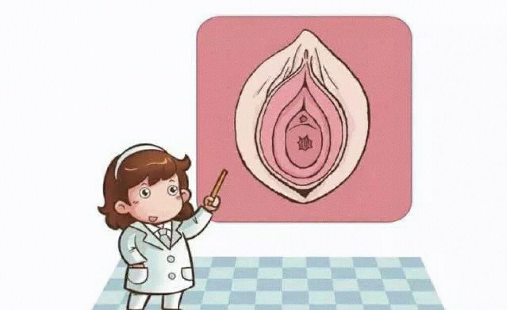 私密整形都包括哪些部位