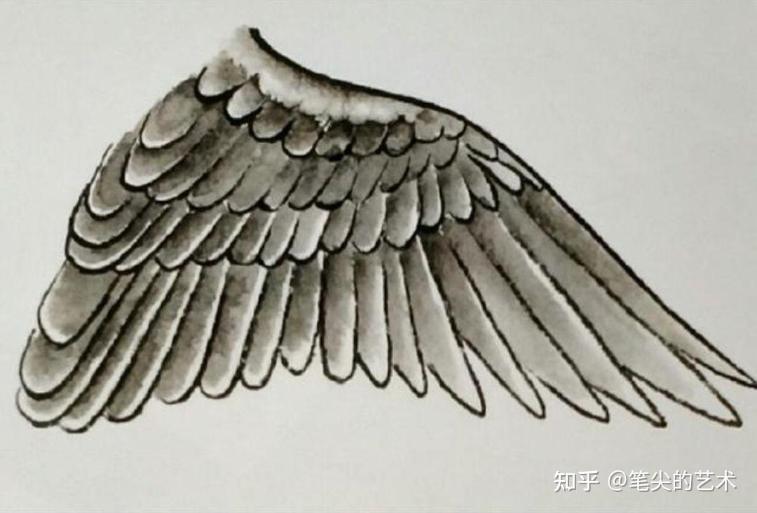 浅谈花鸟画羽毛勾染法技法教程- 知乎