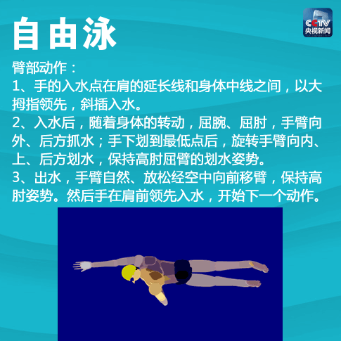 自由泳口诀大全 - 知乎