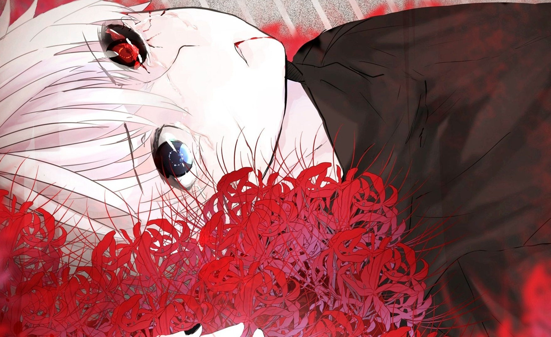 「东京喰种」s1e12 颅内对话 片段