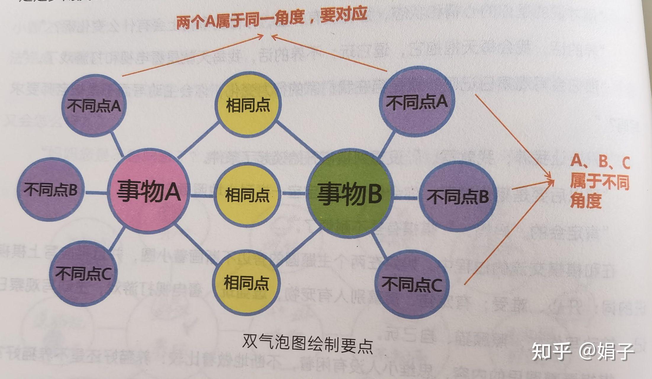 双气泡图帮助孩子进行事物之间的对比