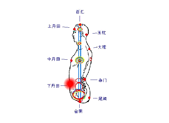 中脉是由百会直透会阴的中央通道 - 知乎