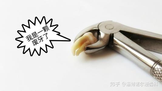 v2-e4035c95bf072b9d3b0e49c20106f28e_r.jpg