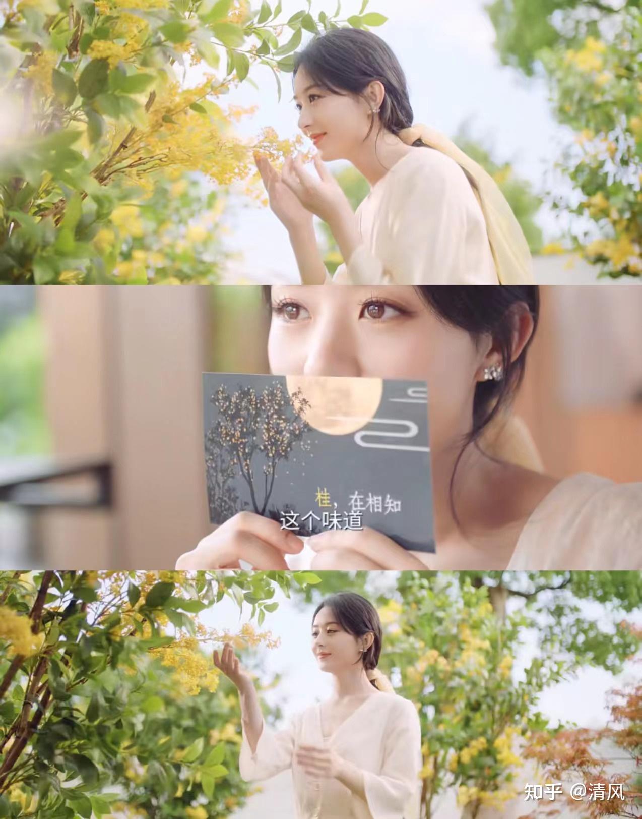 【2023宝藏香水合集】男女明星/爱豆同款香型!