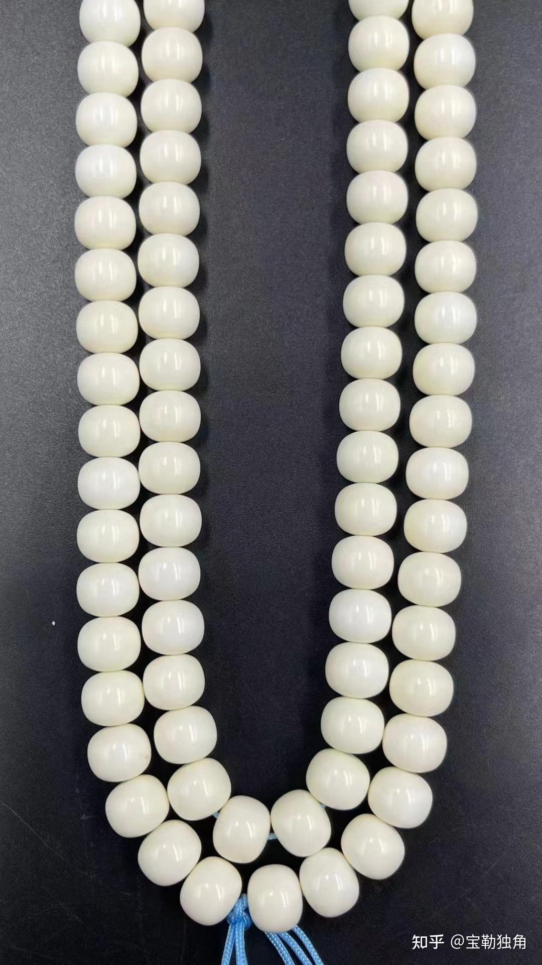 独角鲸牙:独角9*8纯肉108 - 知乎