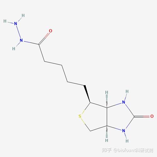 Biotin Hydrazide；蛋白质羰基化探针 知乎