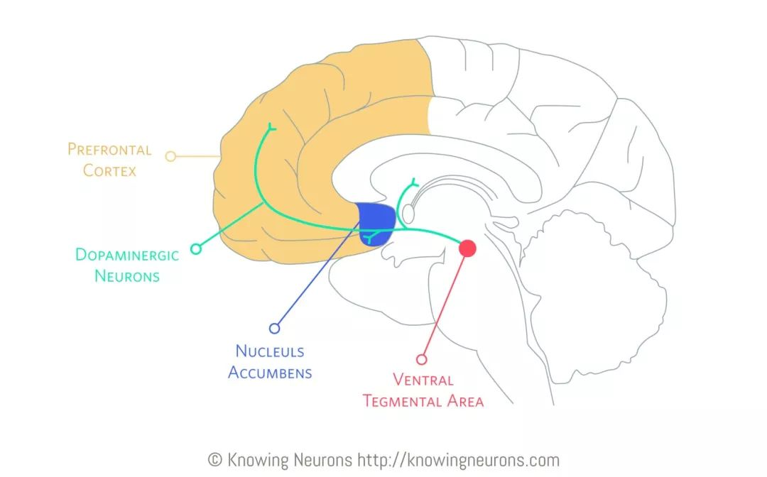 如何逼自己自律建议你放弃
